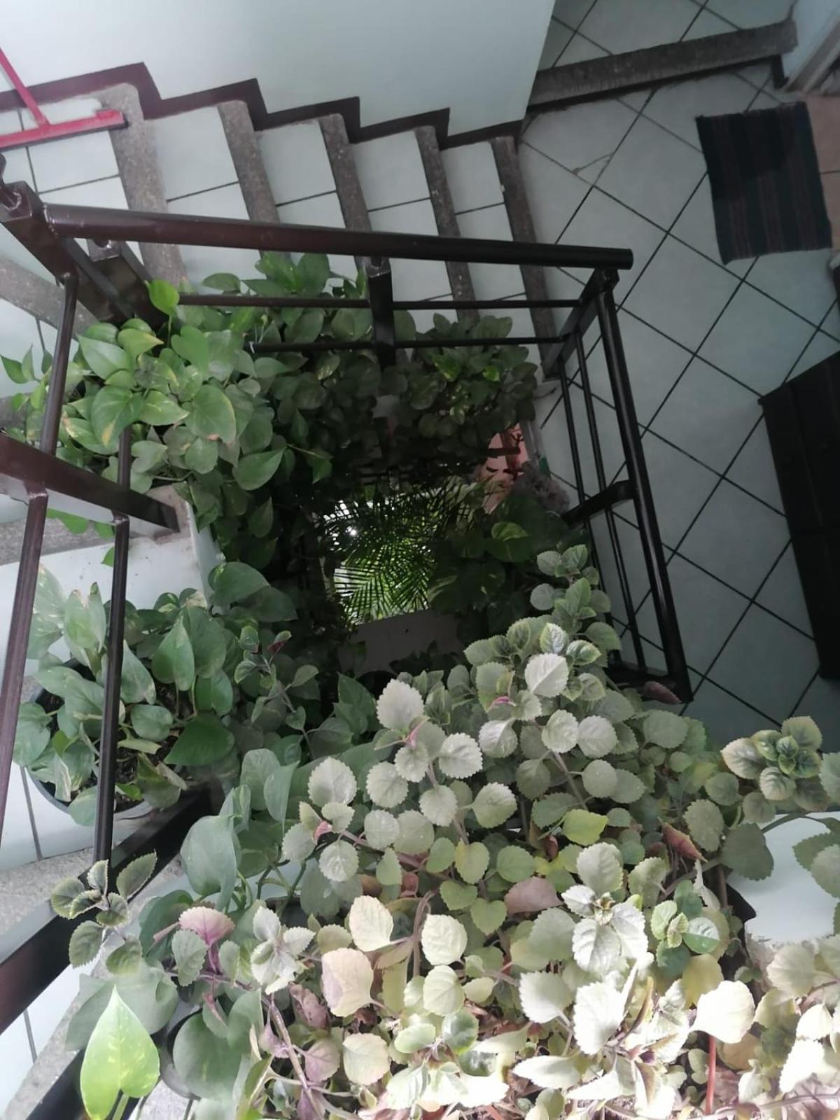 Casa Los Arcos Oaxaca Zewnętrze zdjęcie