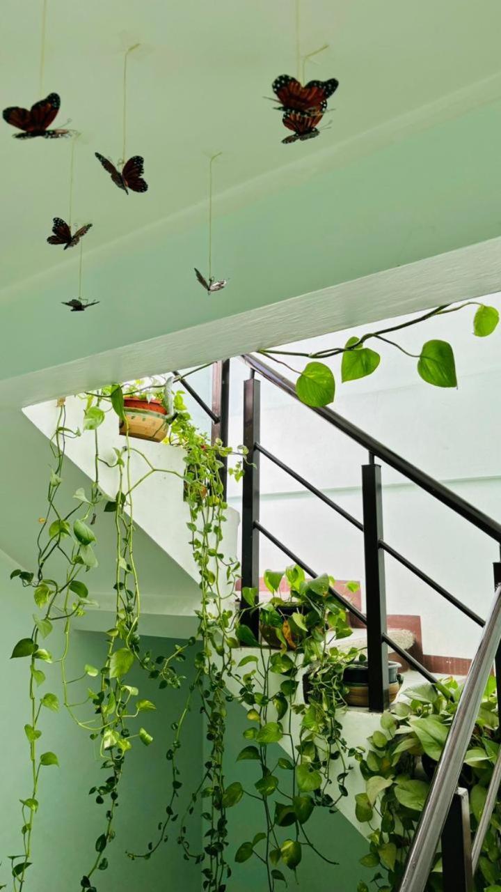 Casa Los Arcos Oaxaca Zewnętrze zdjęcie
